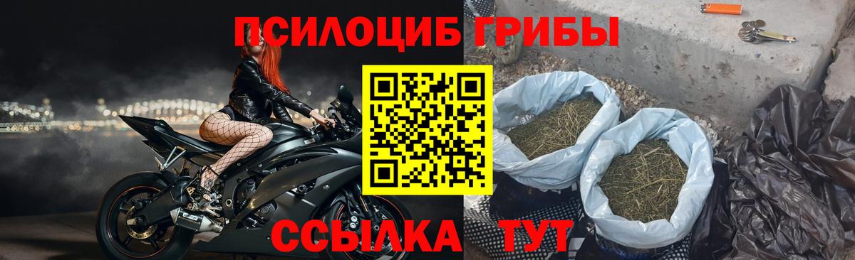 Псилоцибиновые грибы ЛСД Можга